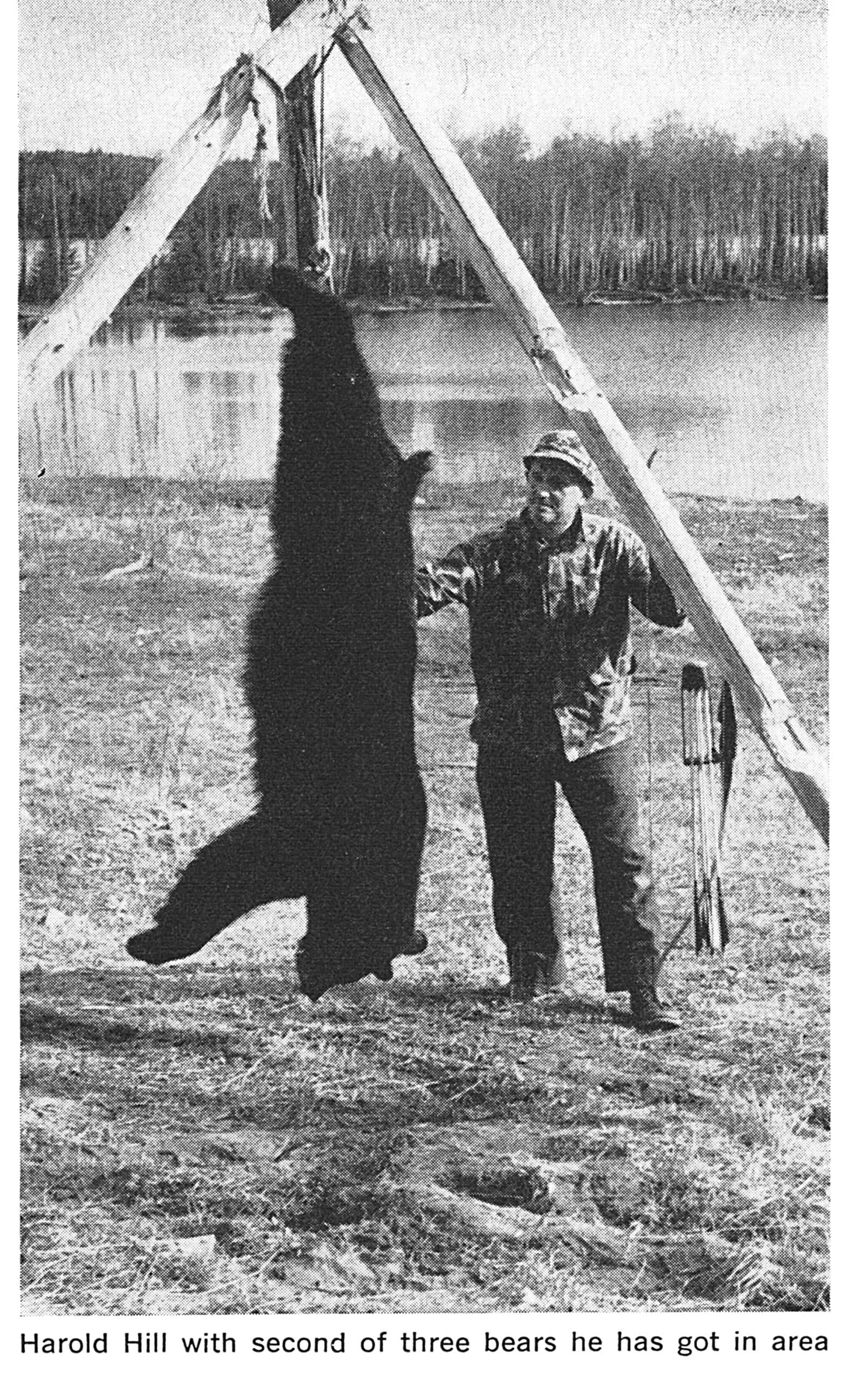 maine bear hunt