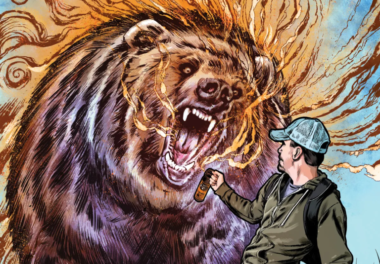 brown bear attack