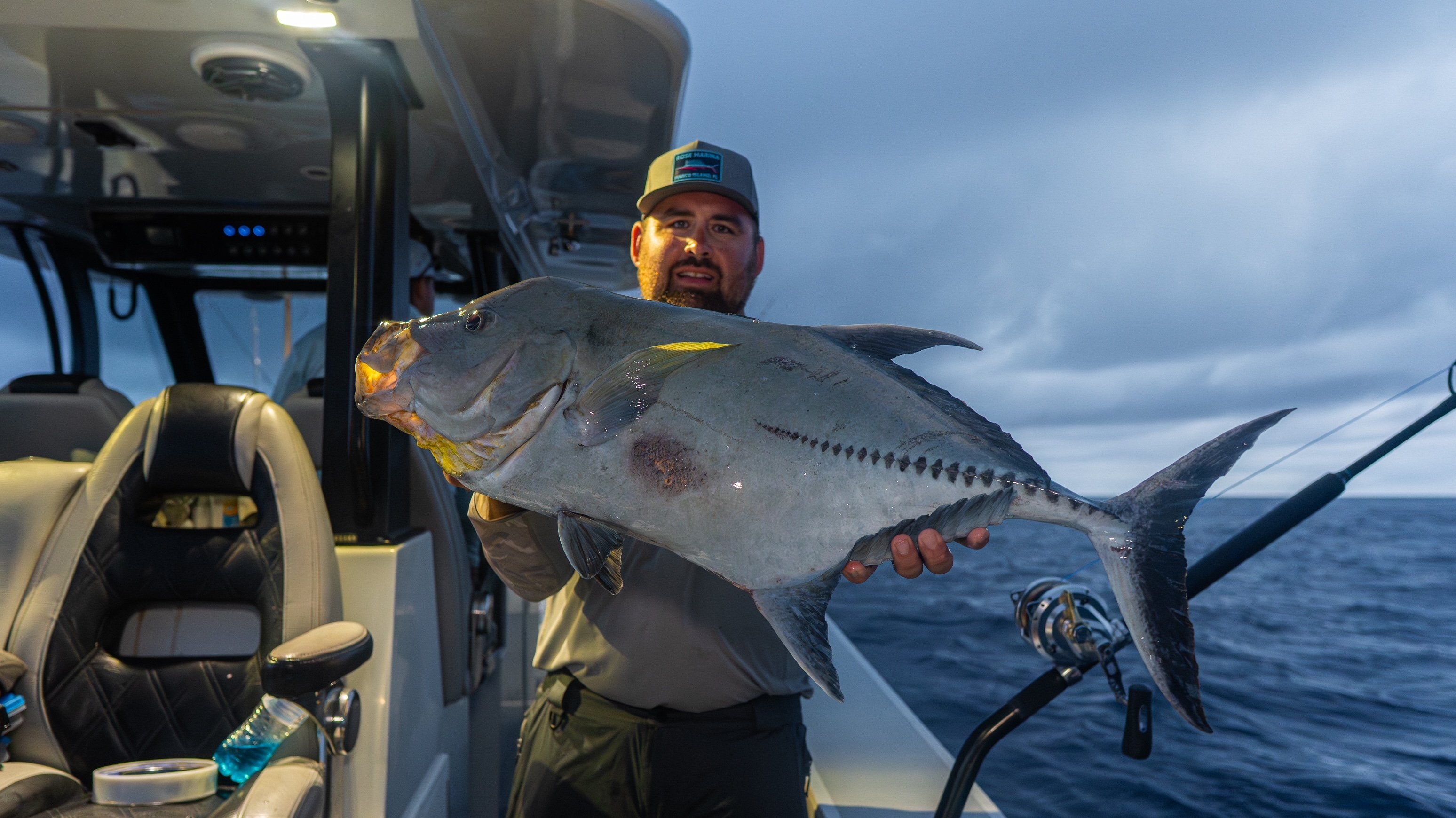black trevally