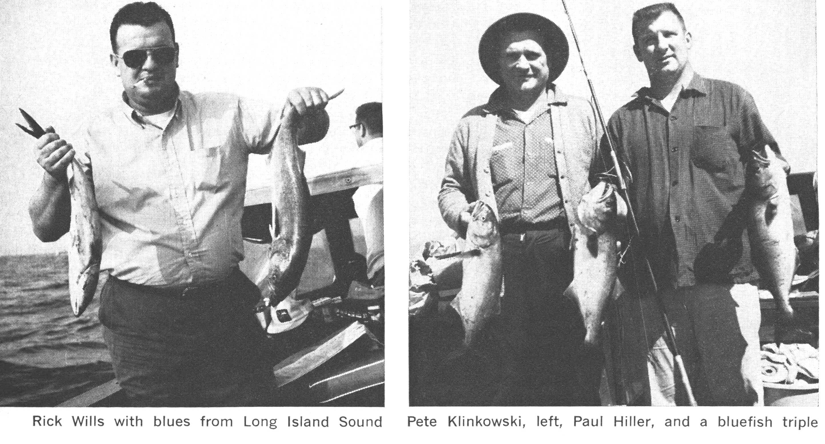 bluefish fishing