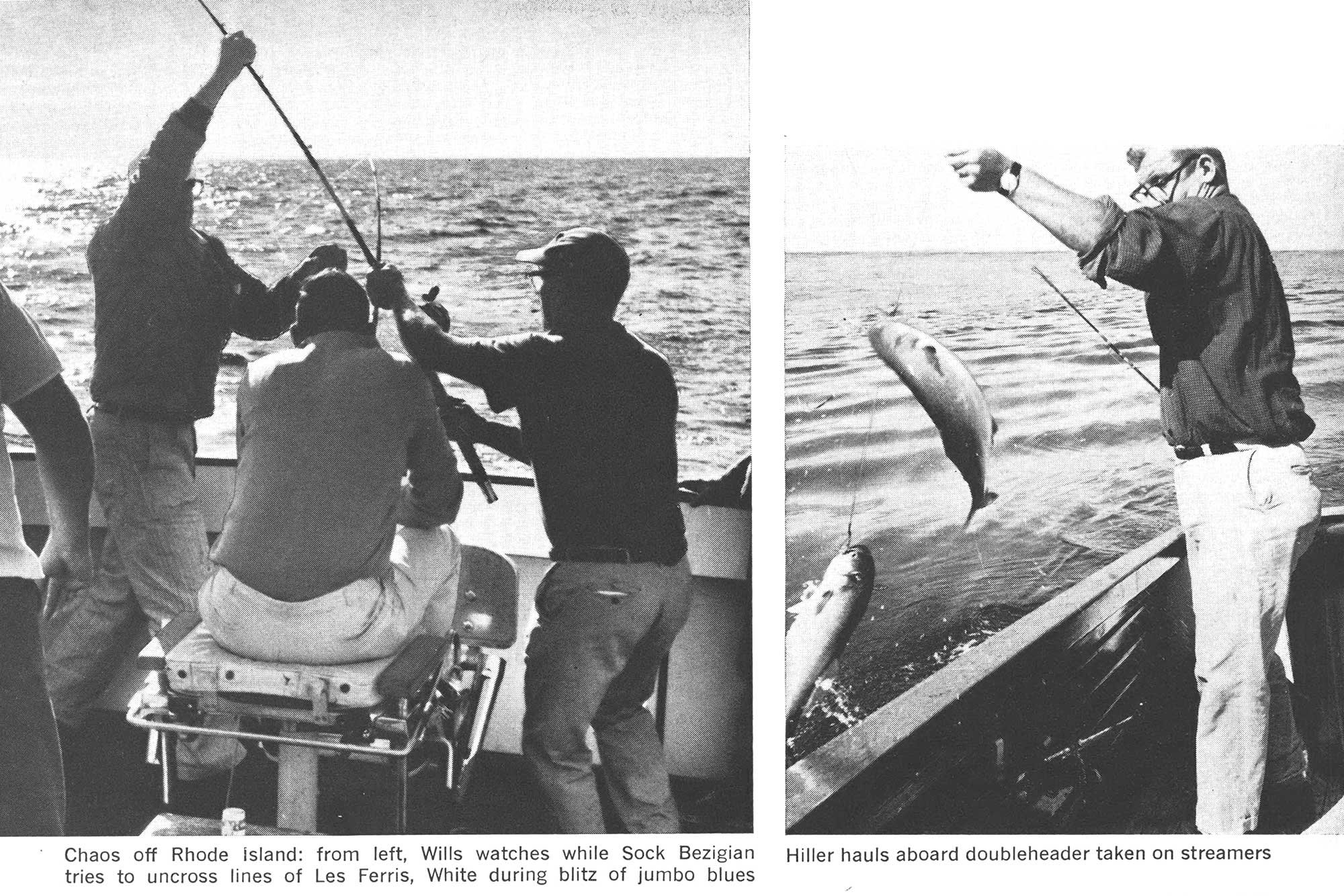 bluefish fishing