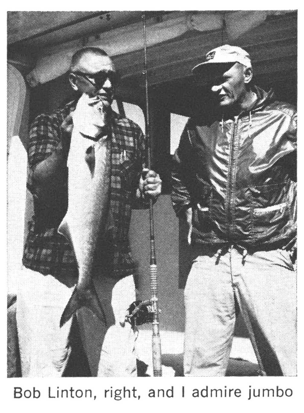 fishing for bluefish