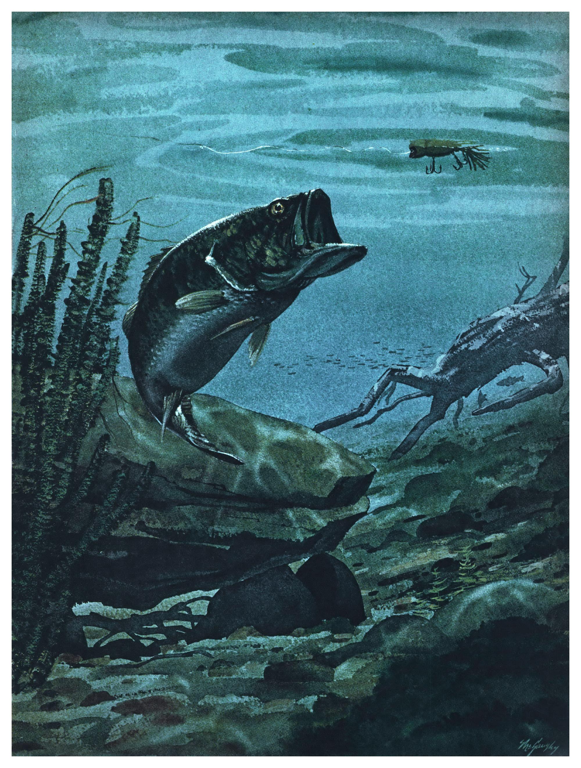 Watercolor painting by F. Clay McGaughy of a largemouth bass rising from rocky, weedy lake-bottom cover toward a surface lure.