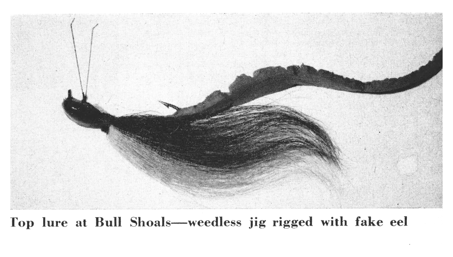 Close-up of the top Bull Shoals lure — a weedless leadhead jig rigged with a long, flowing artificial eel.
