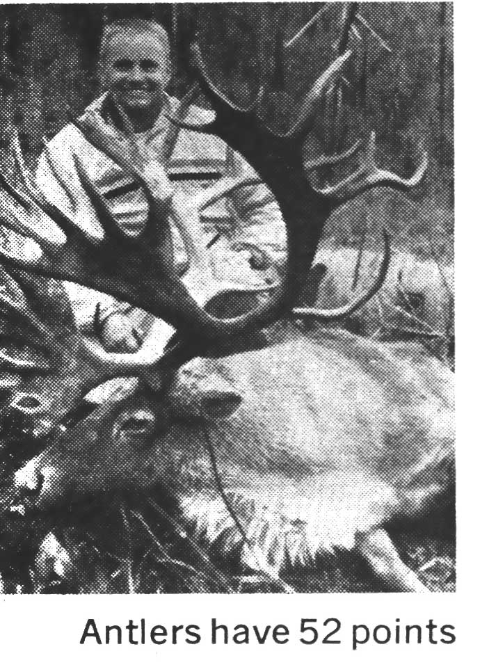 record caribou