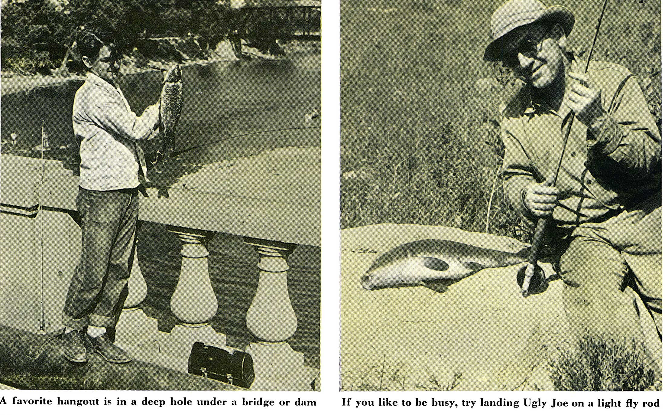 carp fishing
