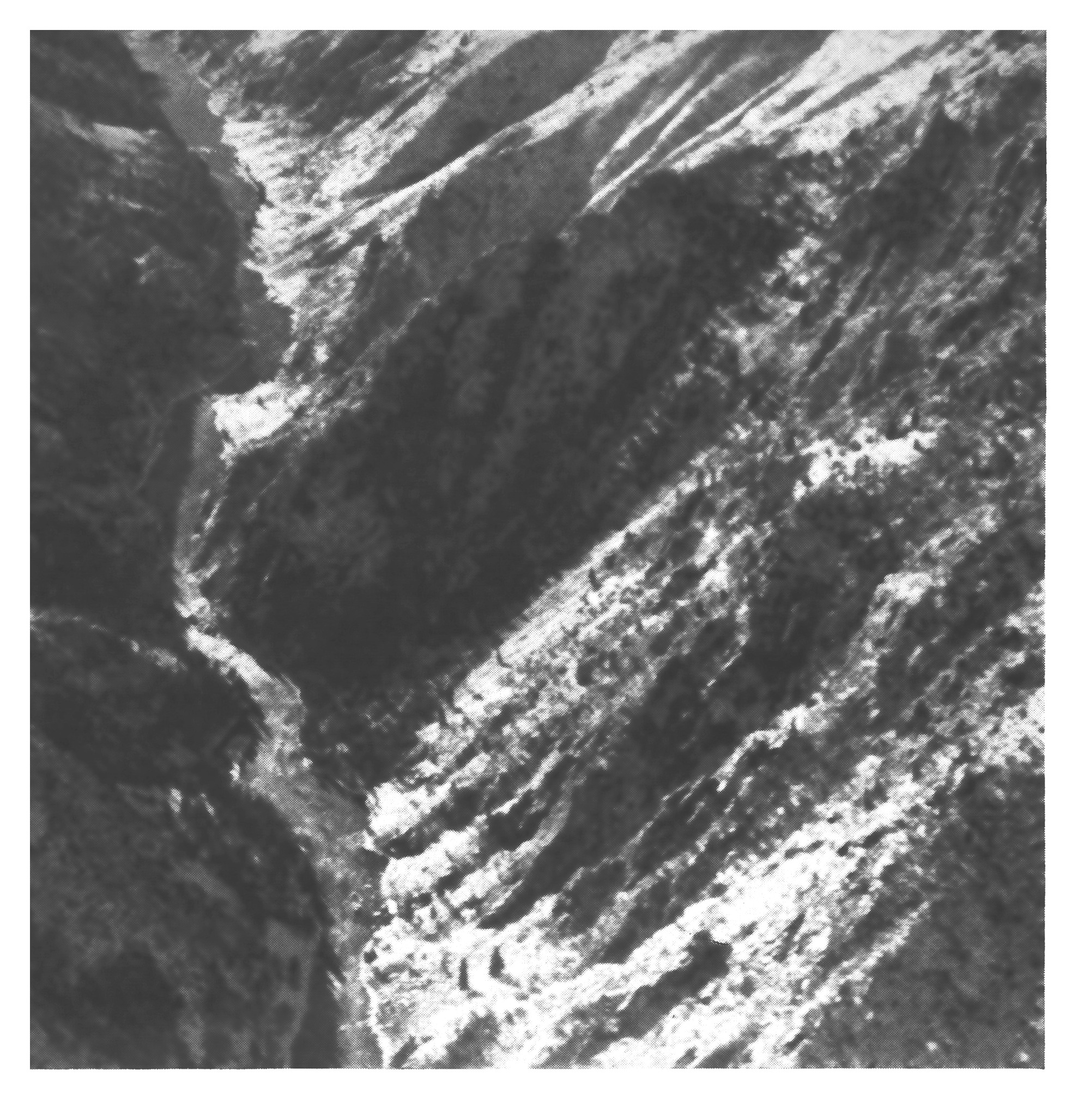 Black-and-white photo looking down into the steep, rocky gorge of Bear Trap Canyon on the Madison River.