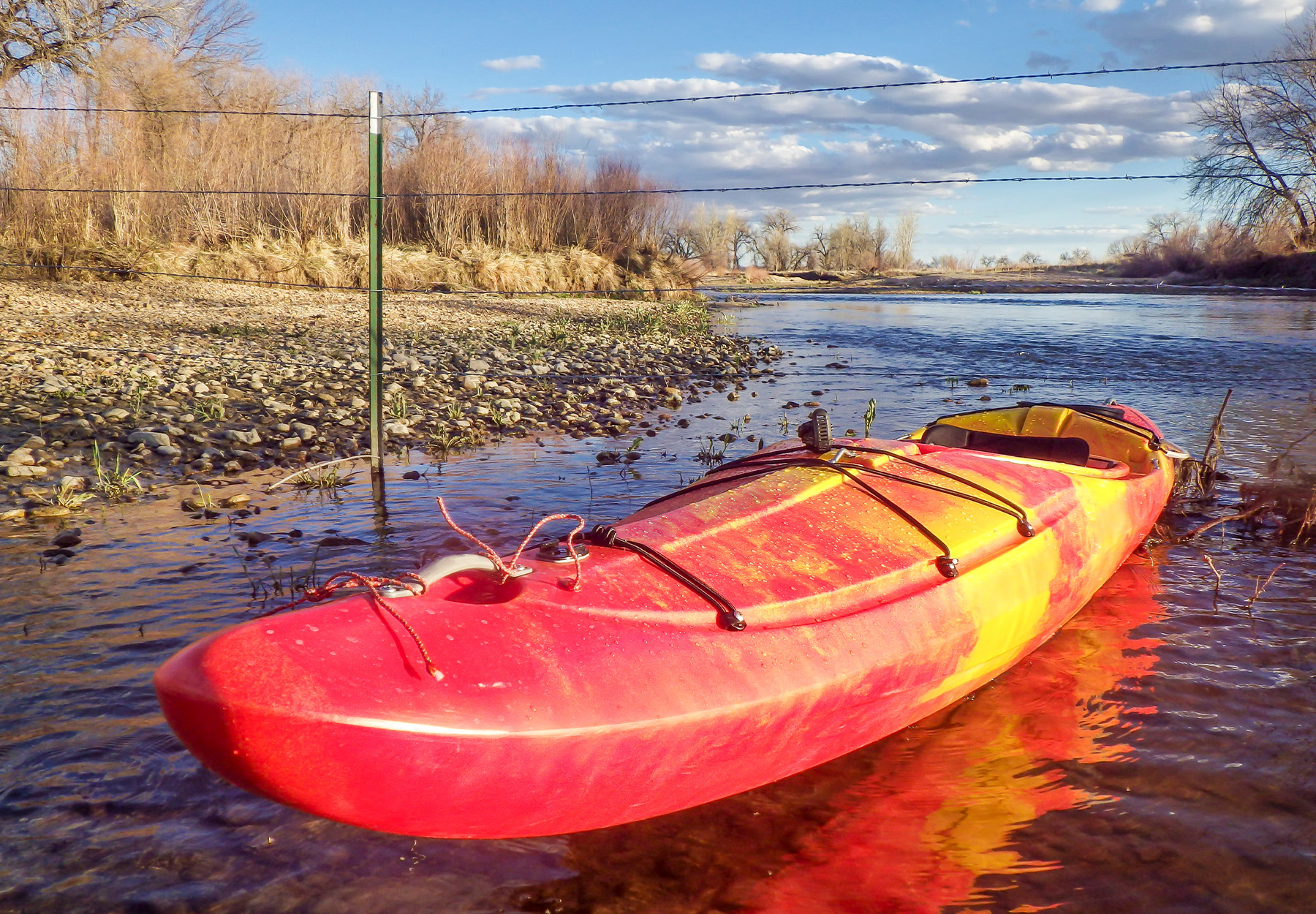 A barbed wire fence on the St. Vrain