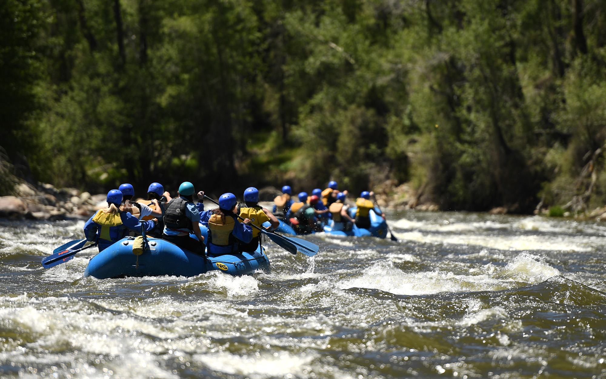 Rafters on the Arkansas River.