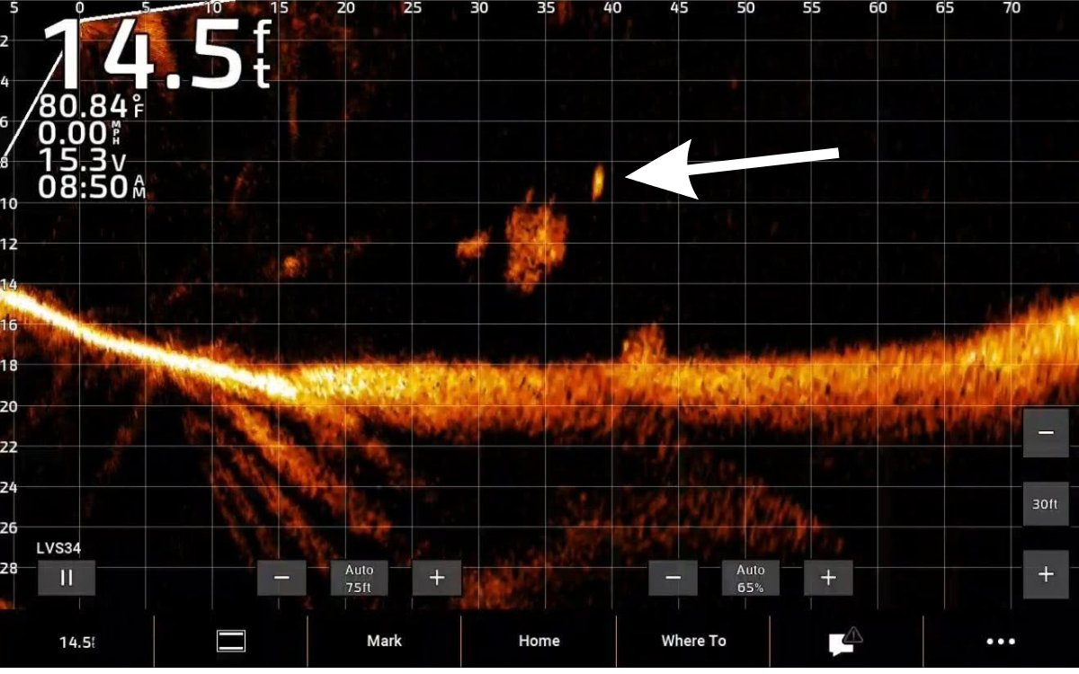 An example image of a forward-facing sonar screen with bait and a bass