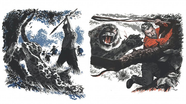 two illustrations featuring jaguars