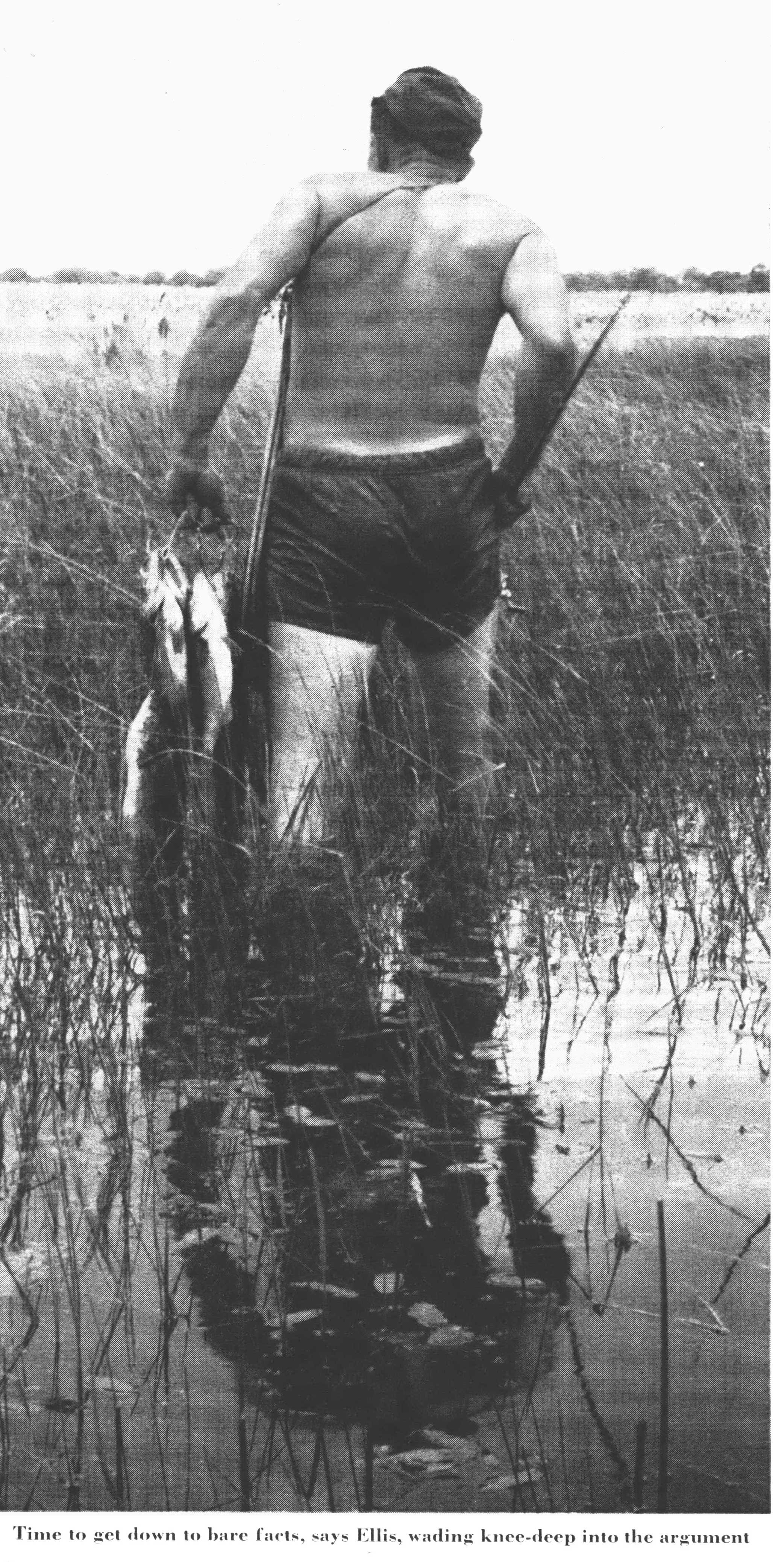 bass fishing with frogs