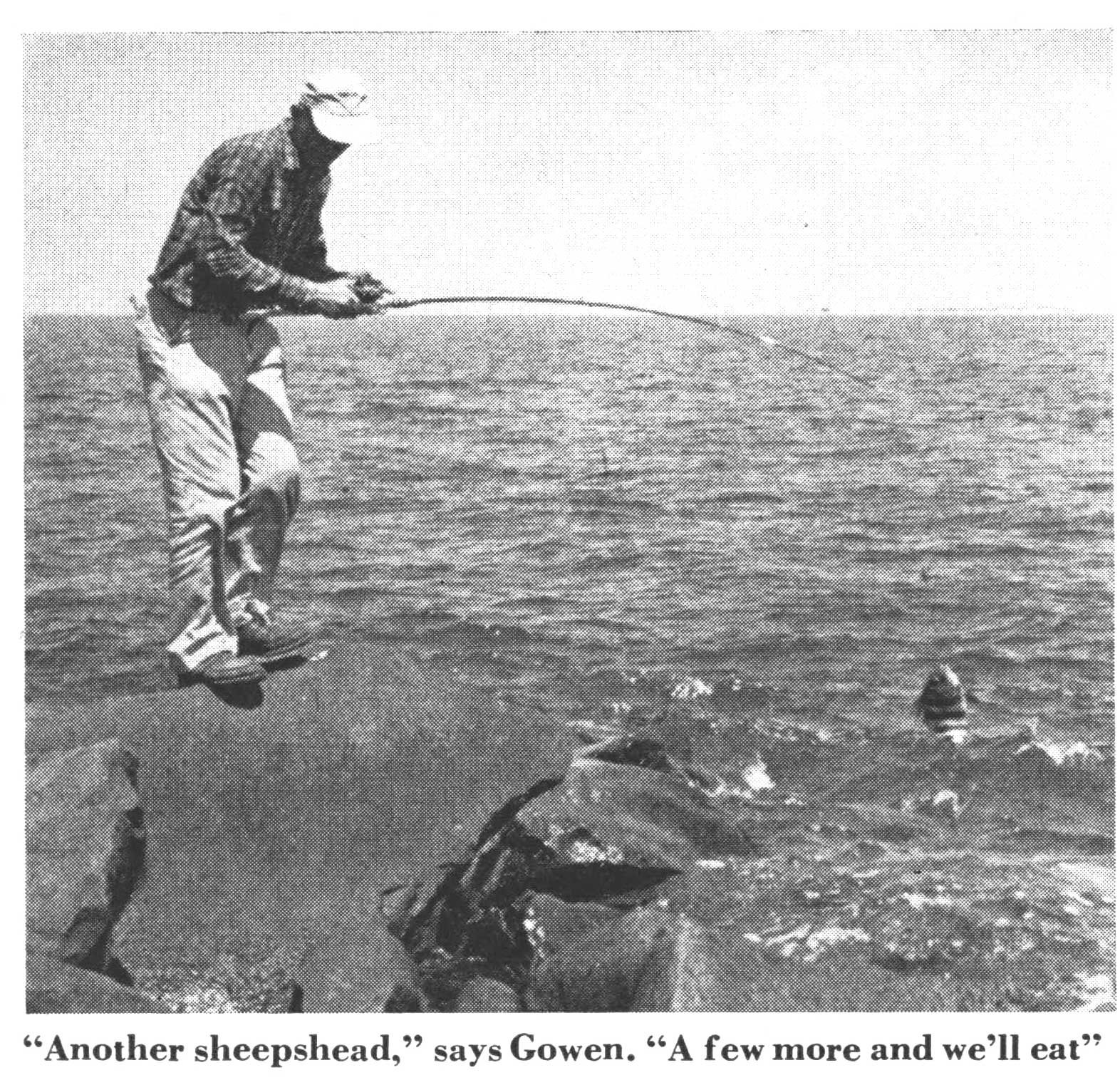 gulf fishing