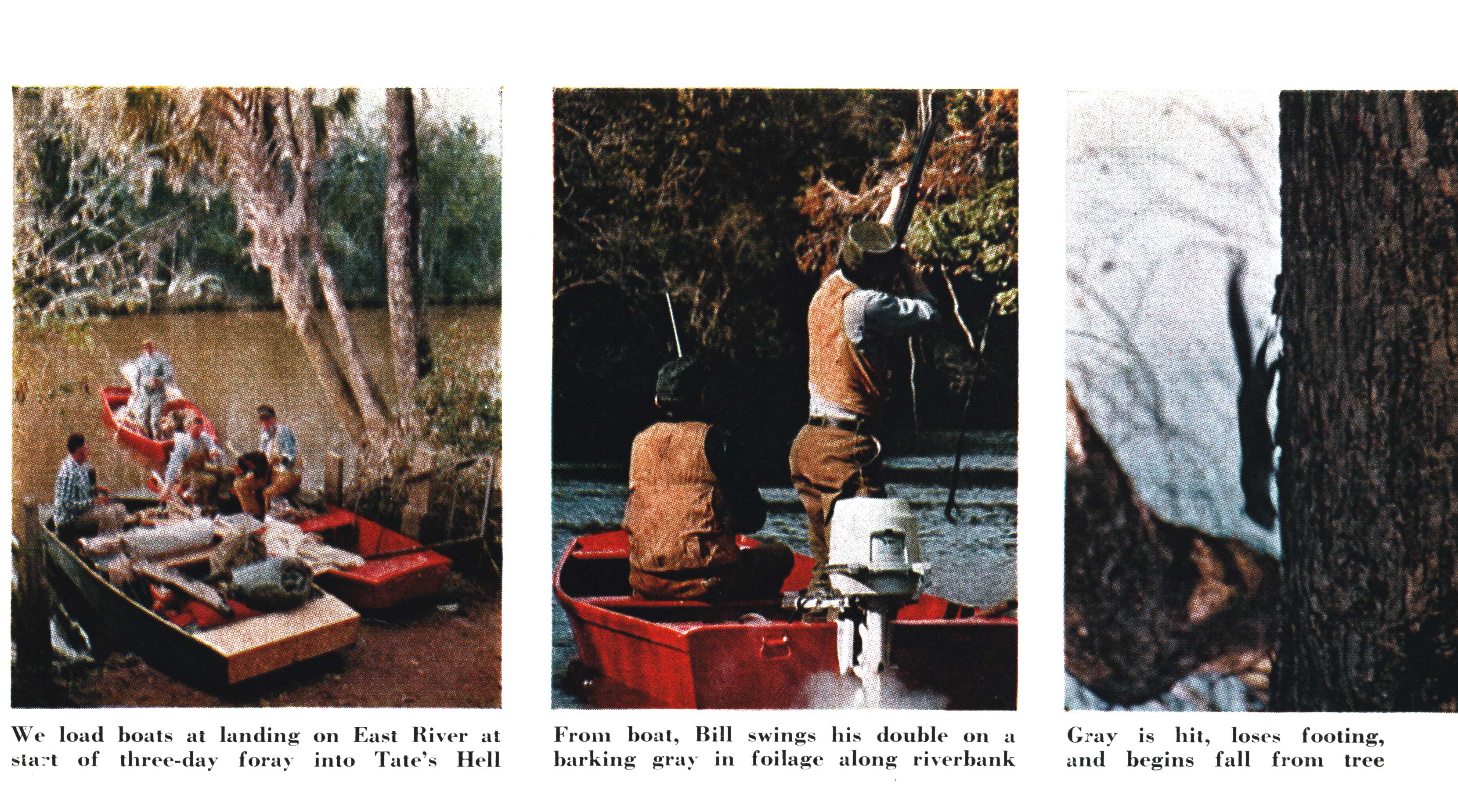 squirrel hunting