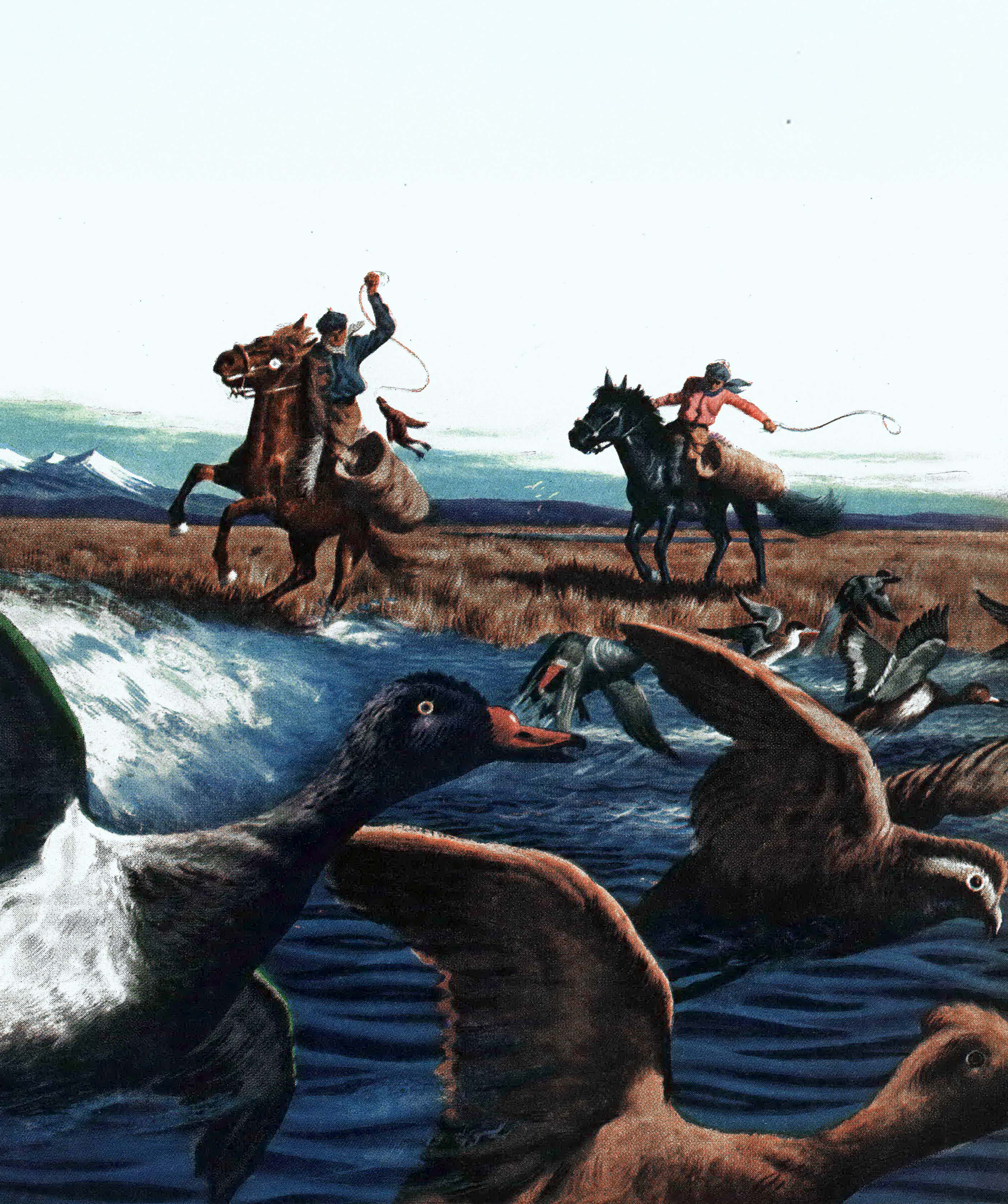 An illustration of gauchos retrieving ducks with lassos.