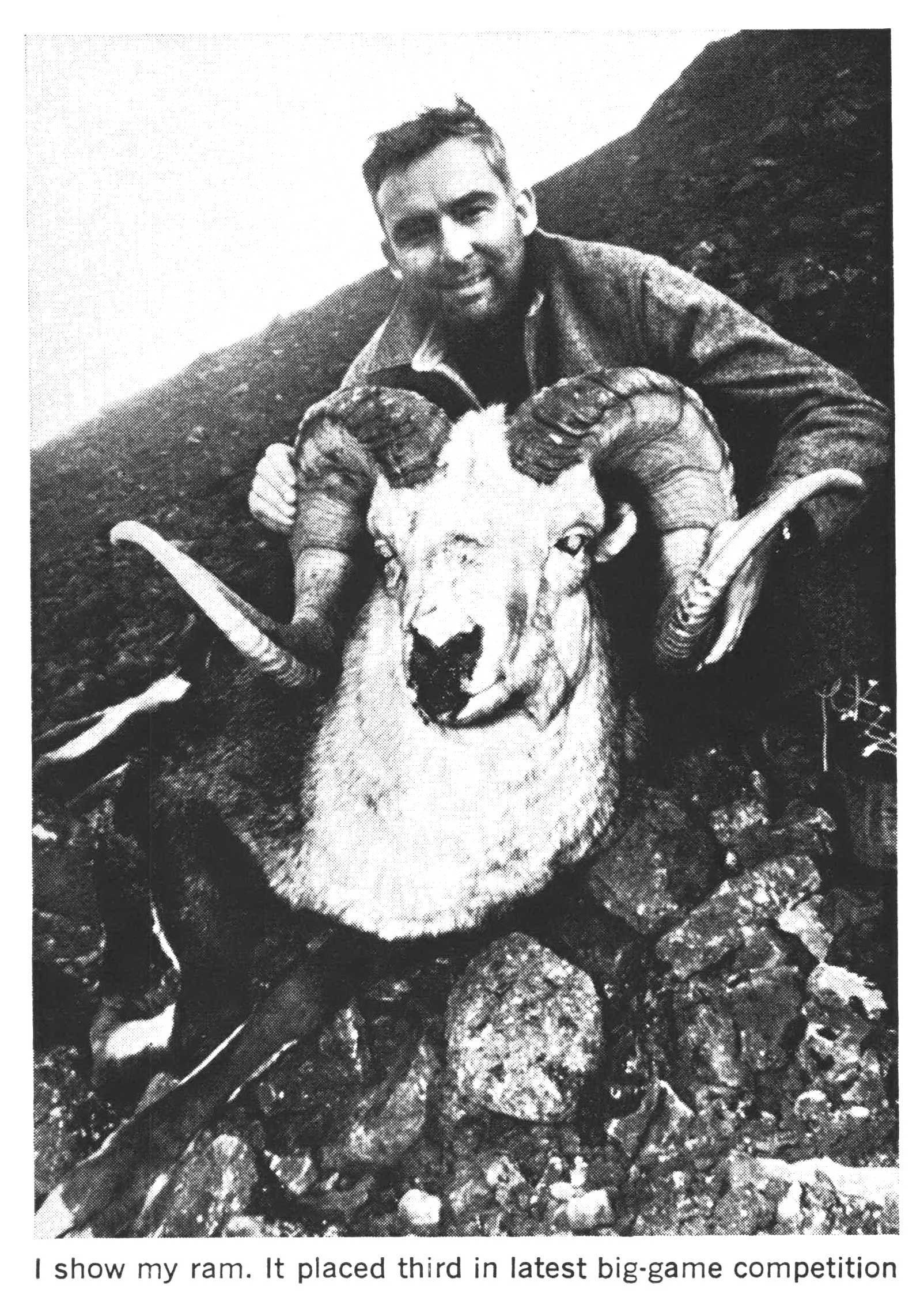 stone sheep hunting