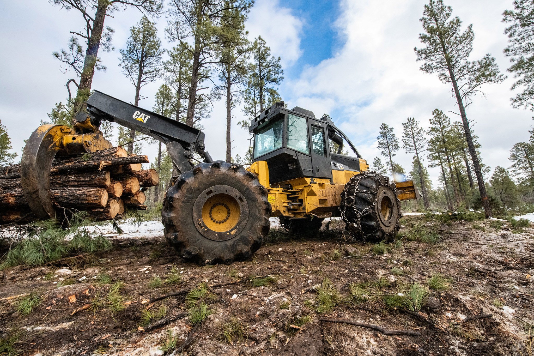 A UDSA machine carries logs.