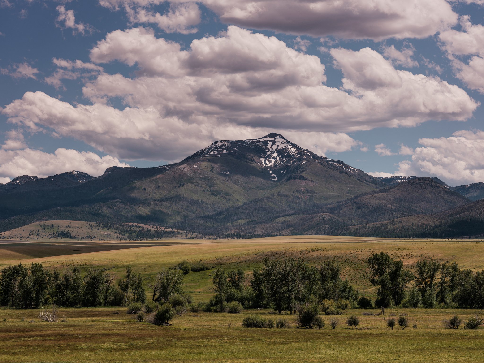The Malheur National Forest.