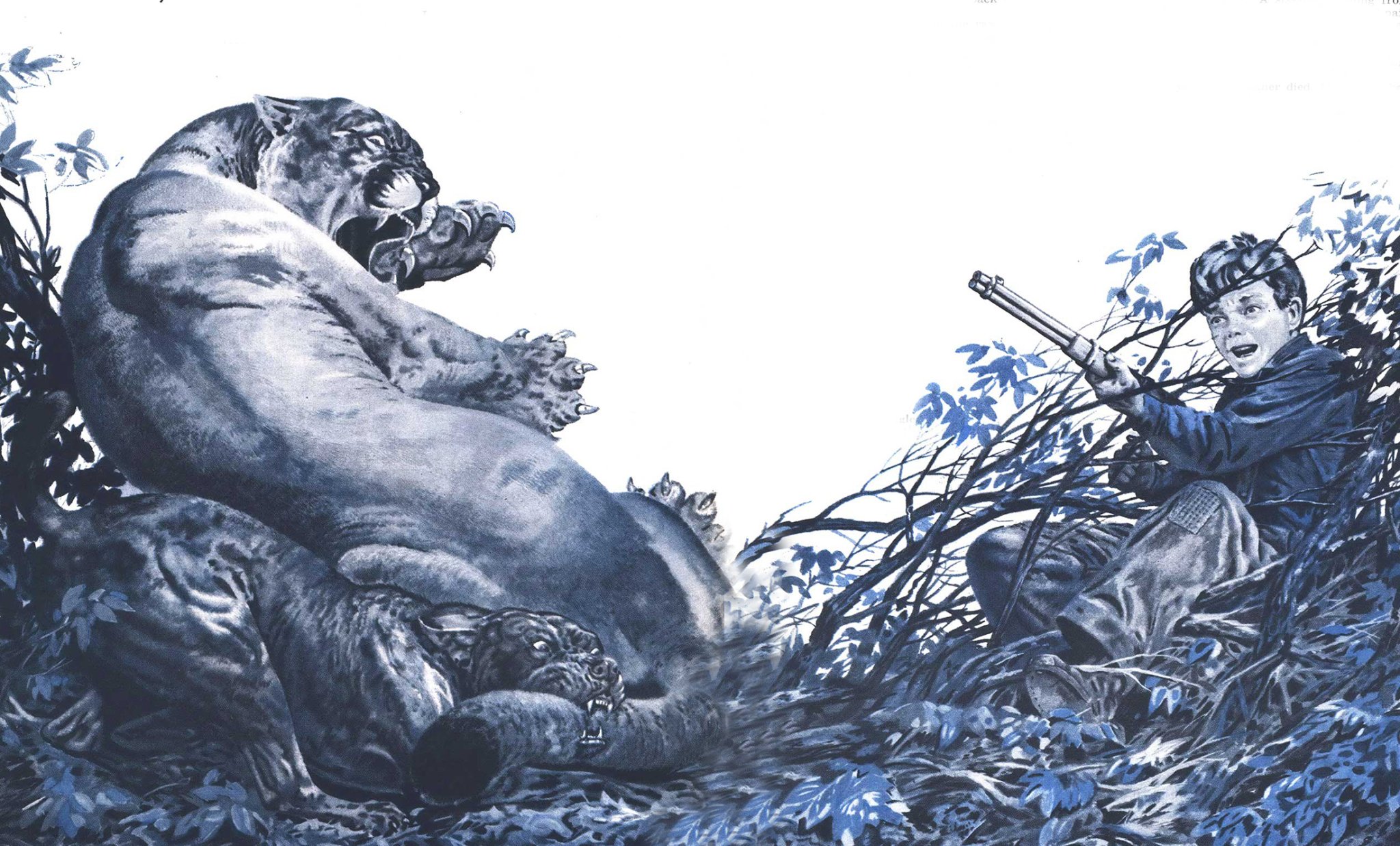 I Tangled With My First Mountain Lion at