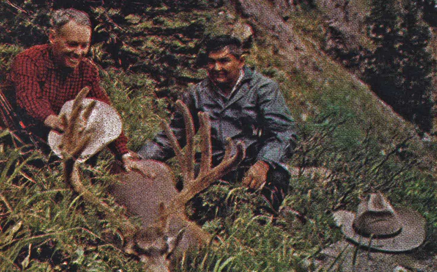 In the Good Old Days, We Hunted Giant Su