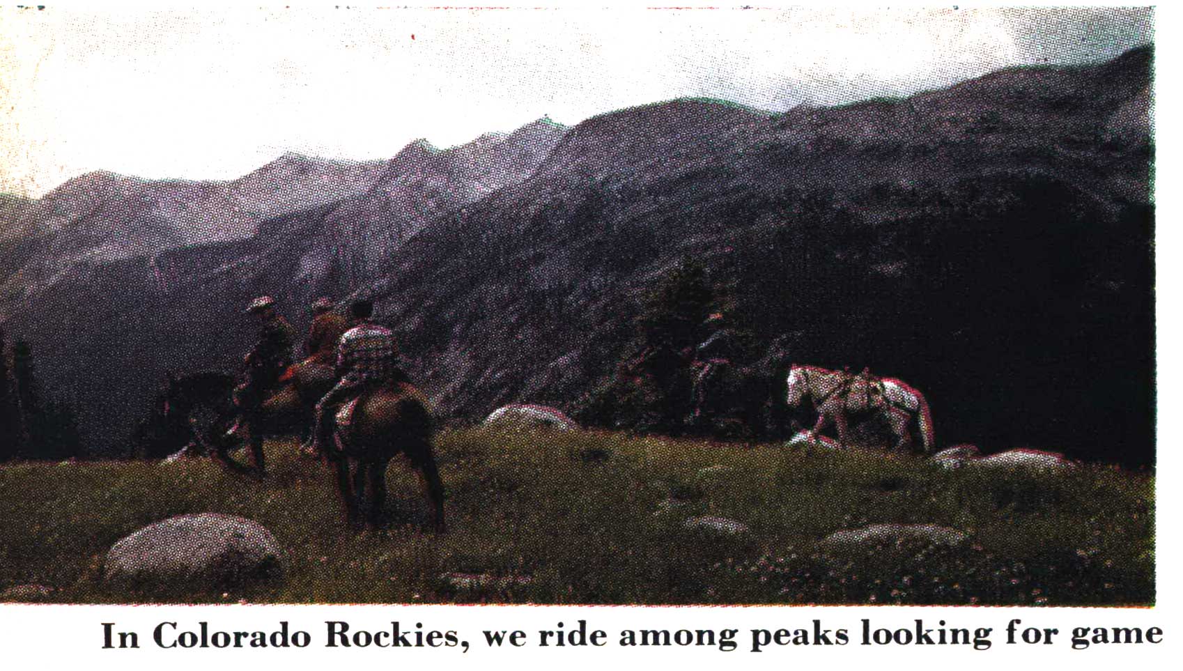 mule deer hunting