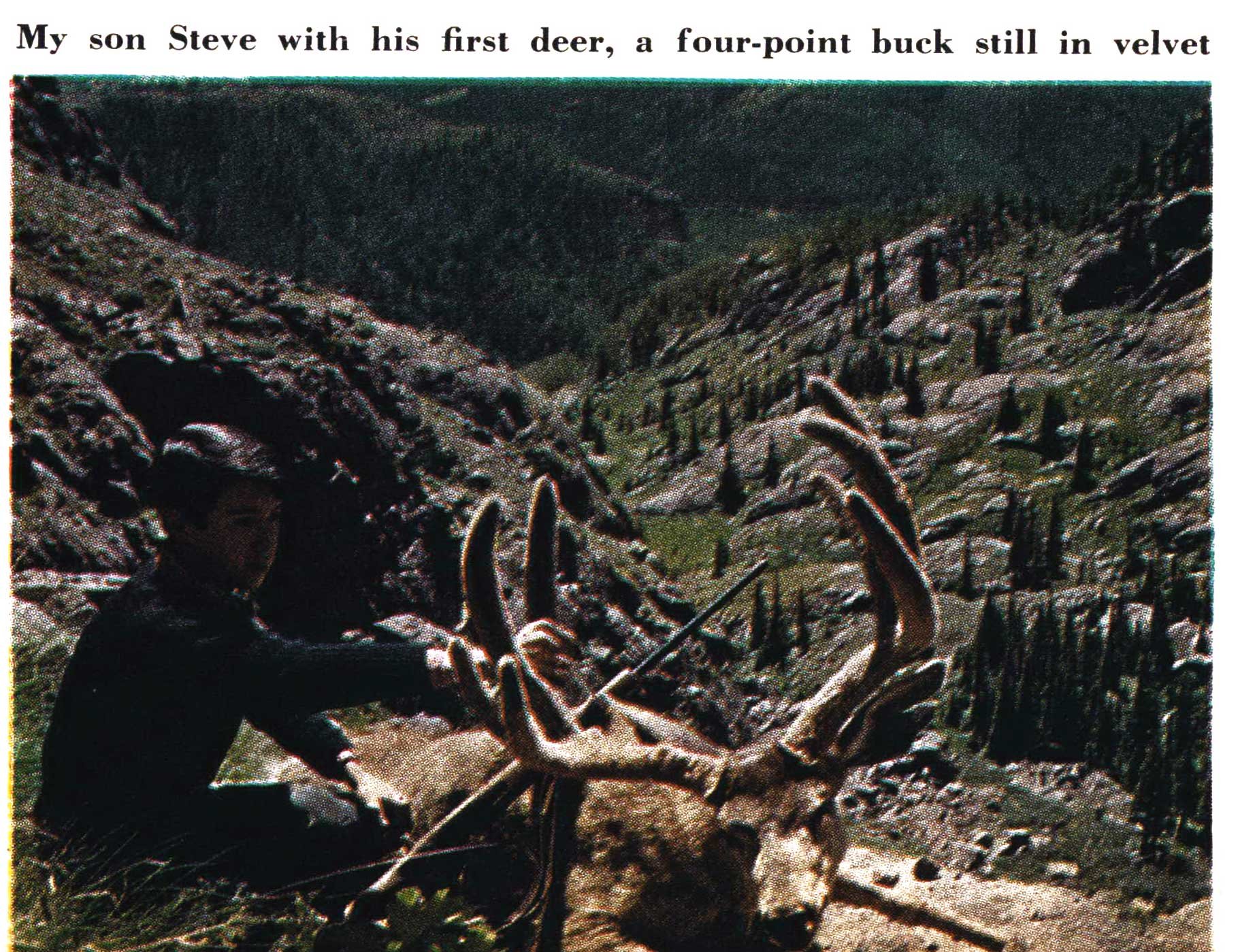 mule deer hunting