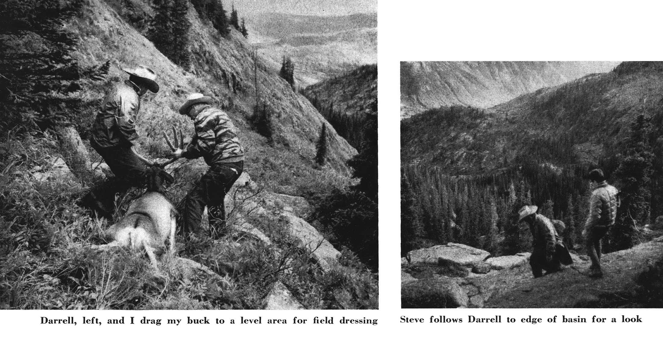 mule deer hunting