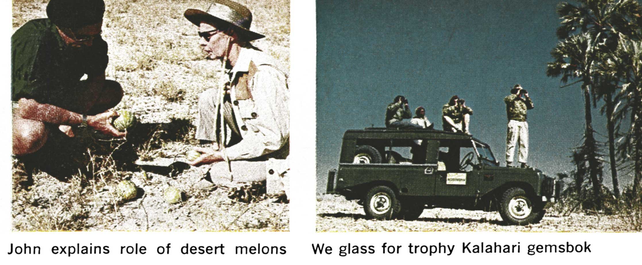 hunting africa