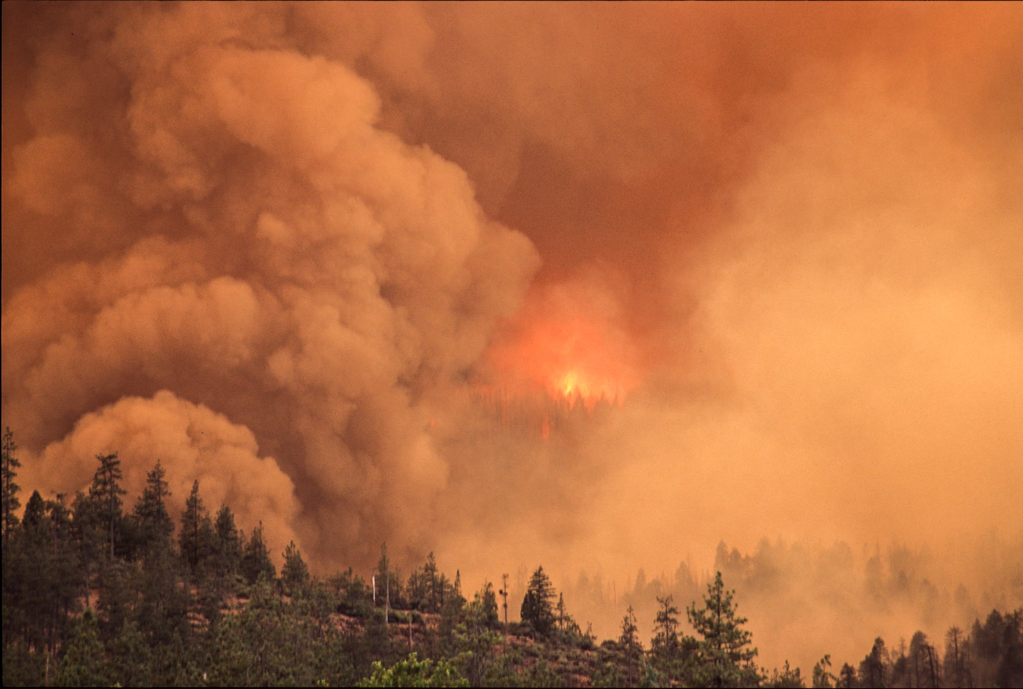 Smoke wildfire.