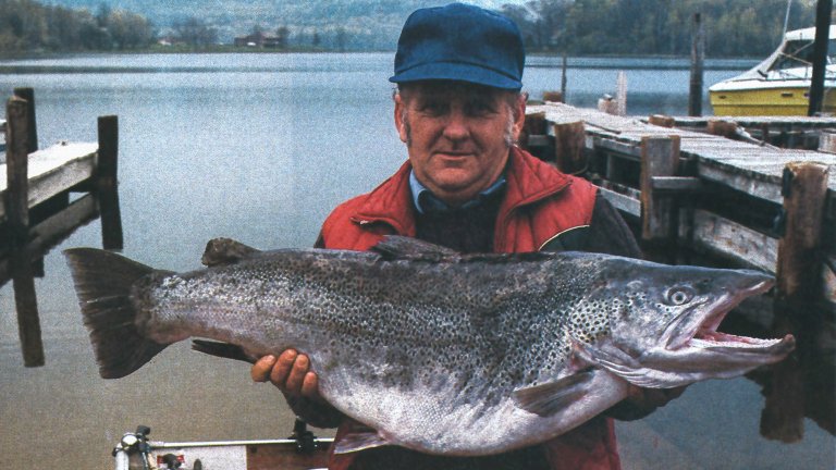 A cropped photo of fisherman Bob Henderson holding up an enormous record brown trout.