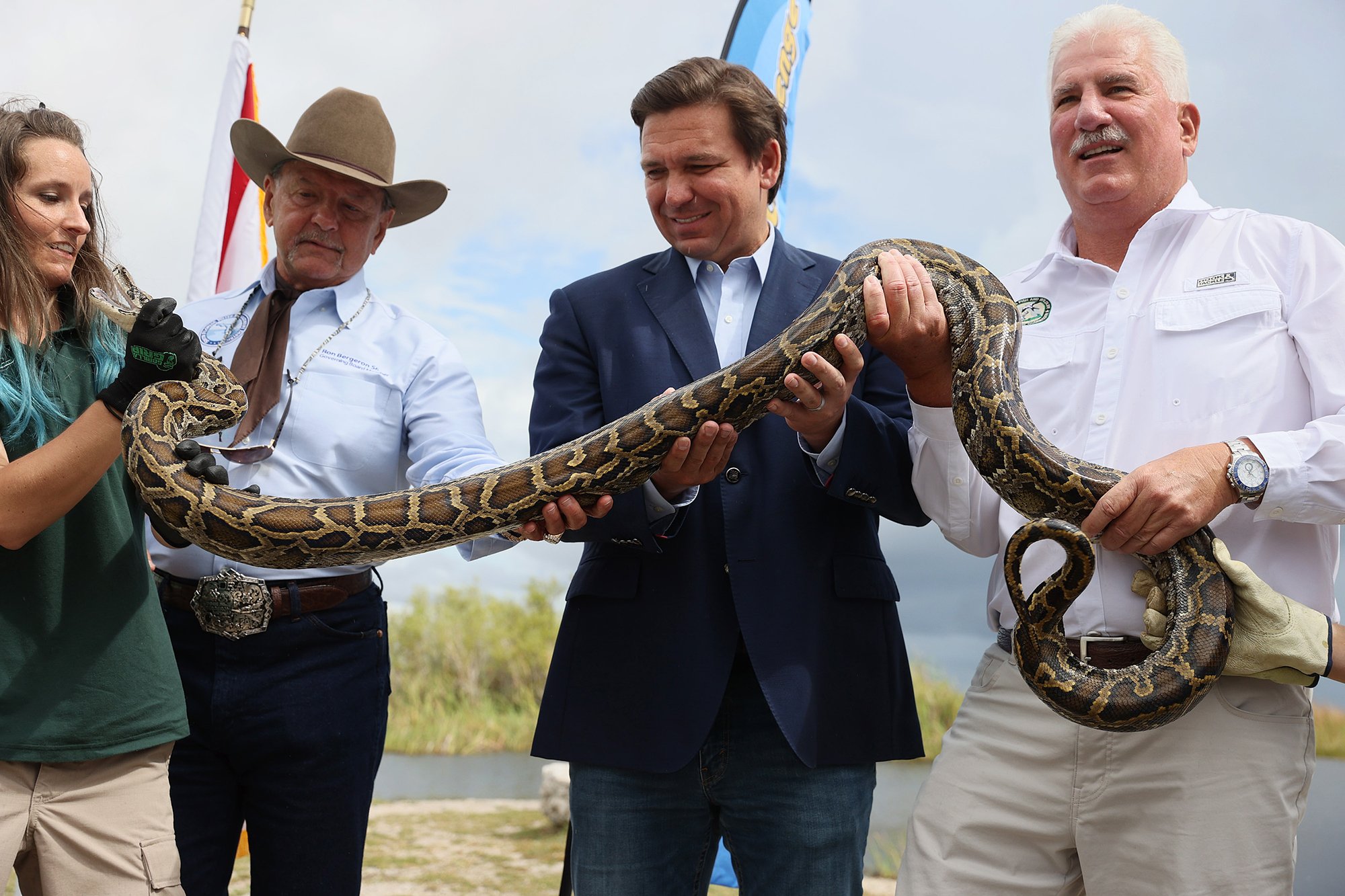 ron desantis florida python