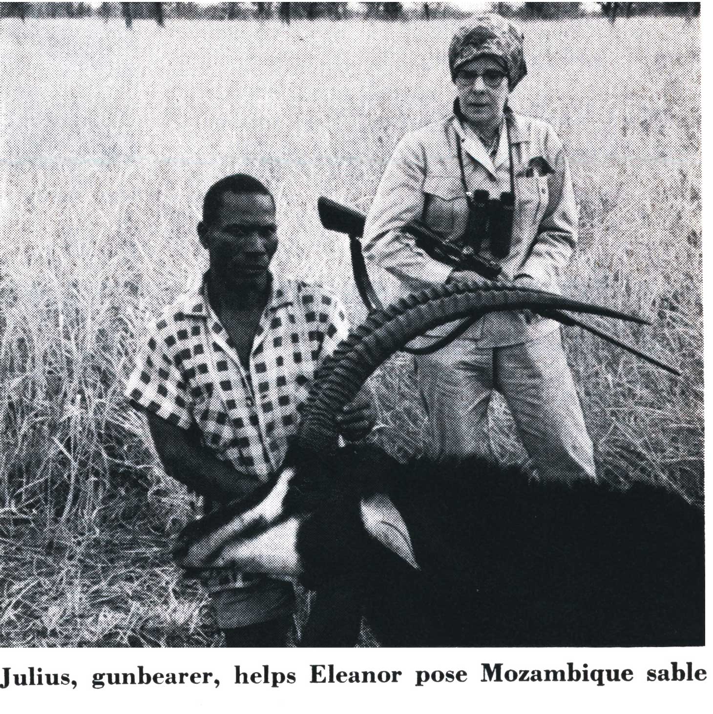 sable hunting