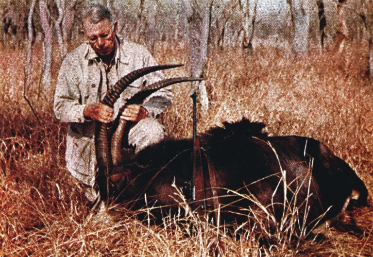 sable hunting