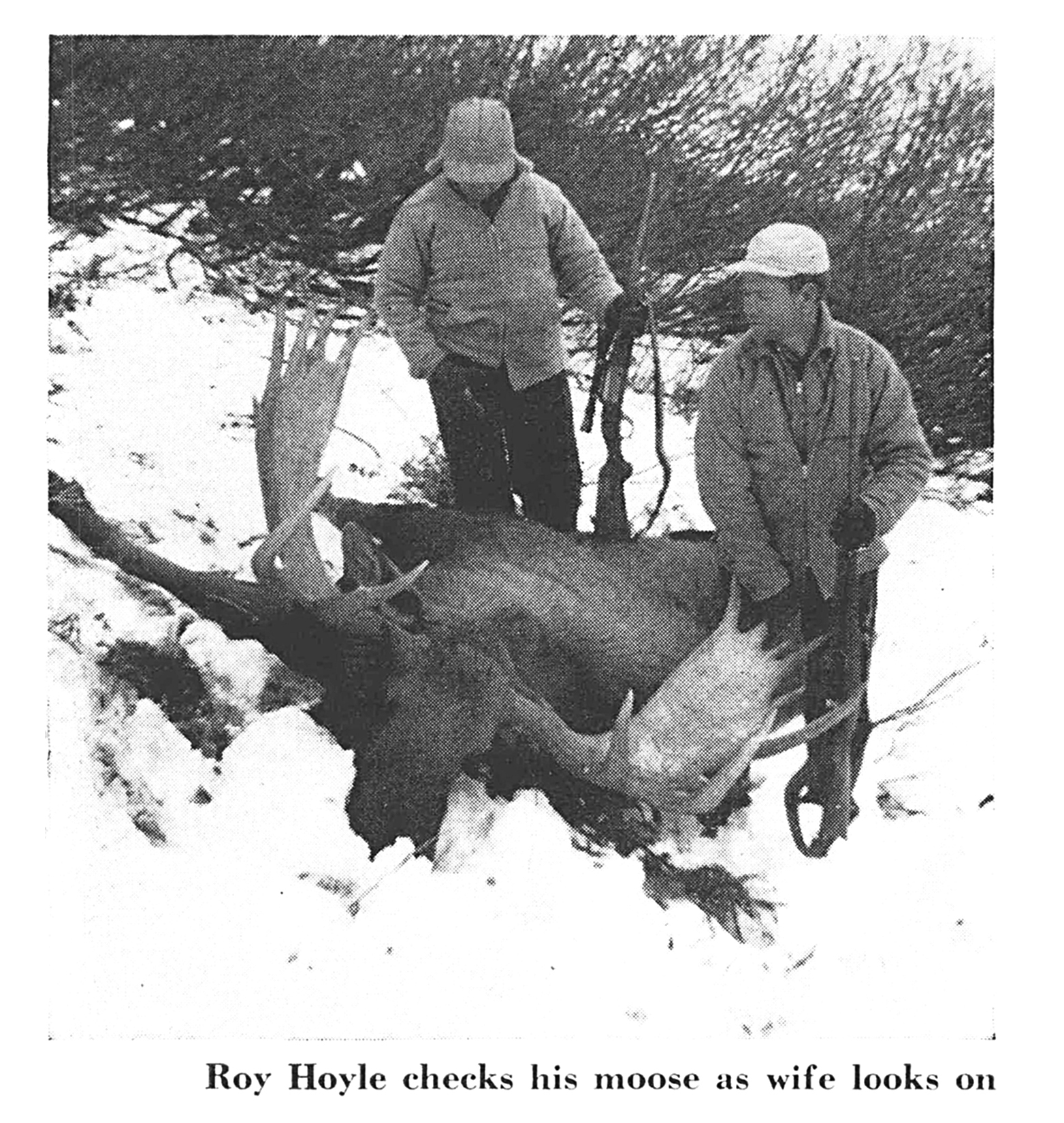 A black and white photo of two hunters and a bull moose in the snow.