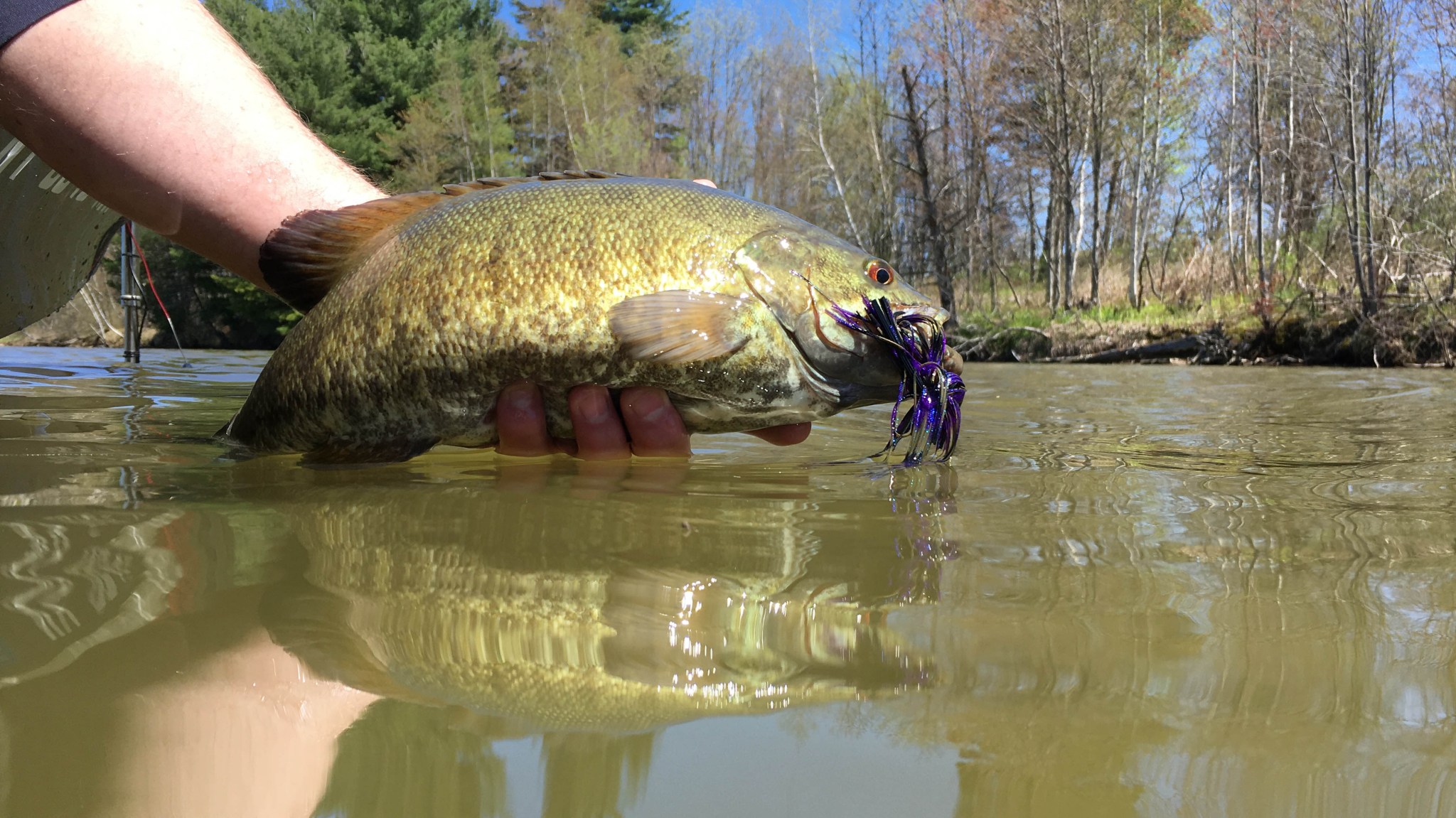 customizing fishing rods Rod Customizations & Upgrades float fast action the rod Abu Garcia Elite Bait Color:Coosa Crusher