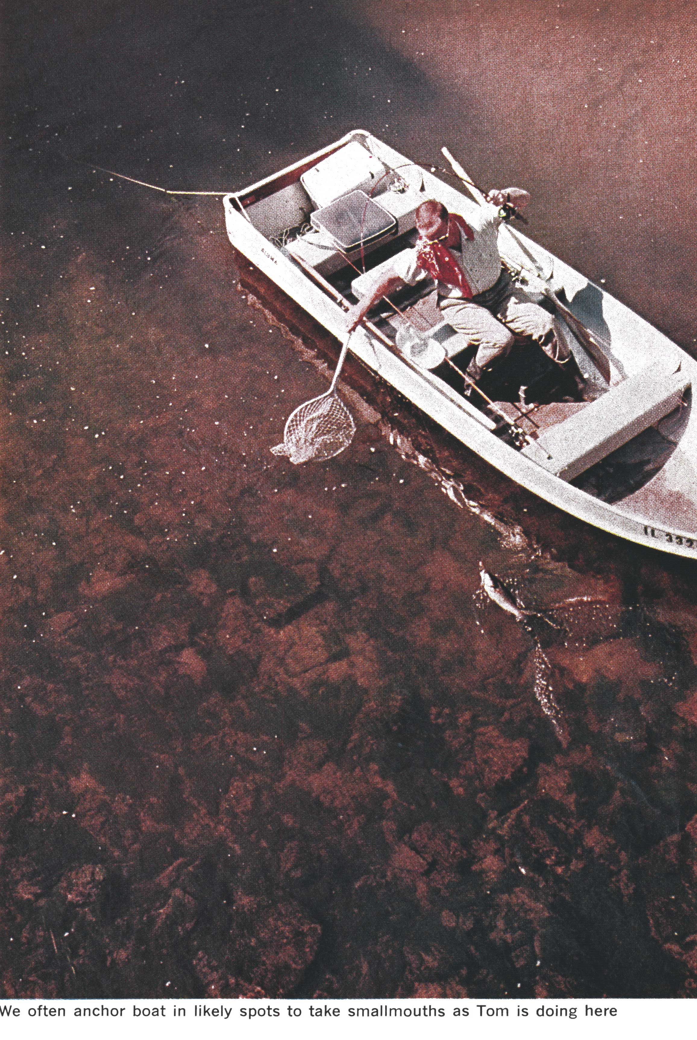 smallmouth bass