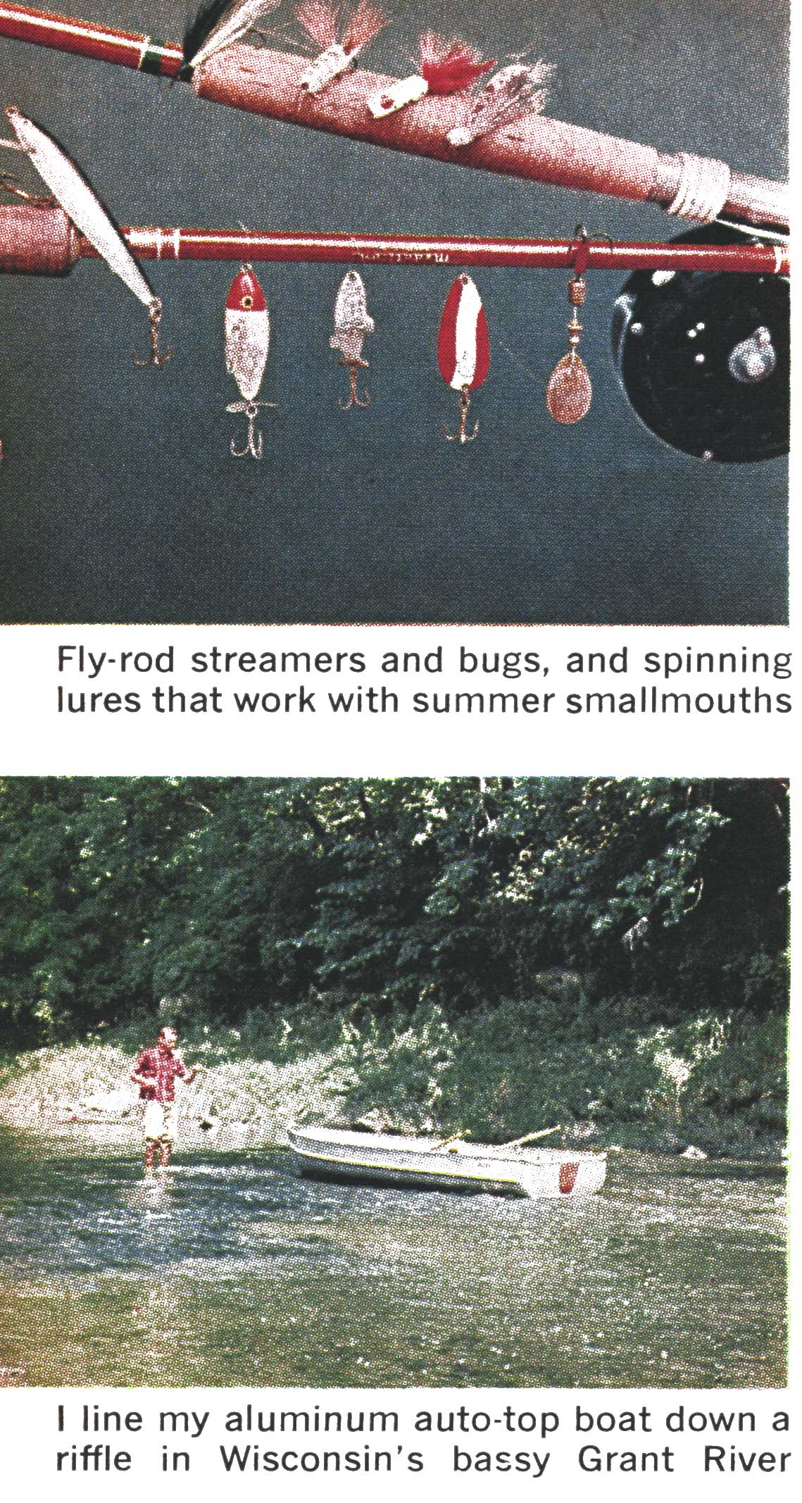 smallmouth bass