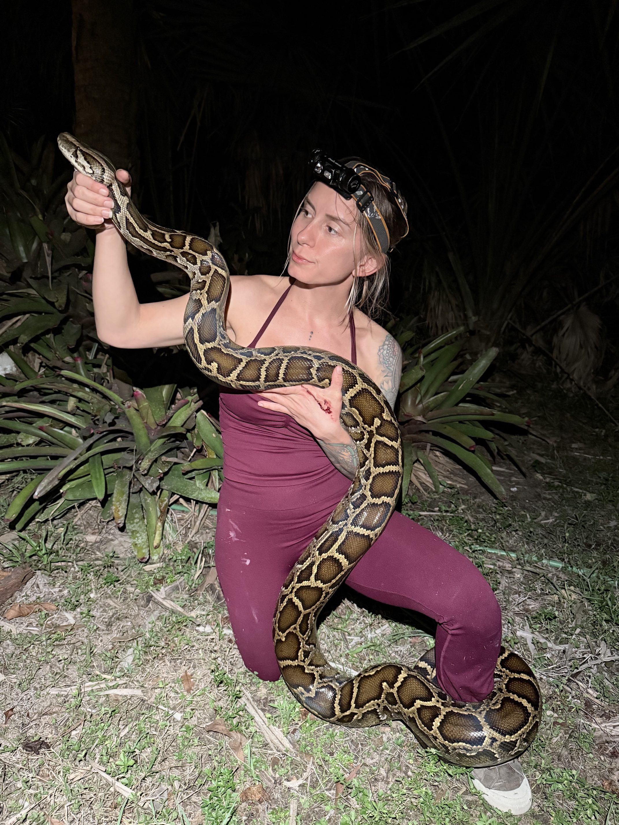 python challenge