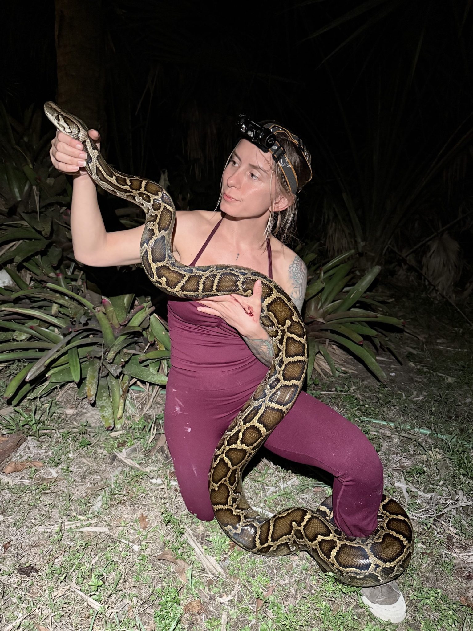 Snake Hunters Head to Florida for the Wildest, Most Viral Competition ...
