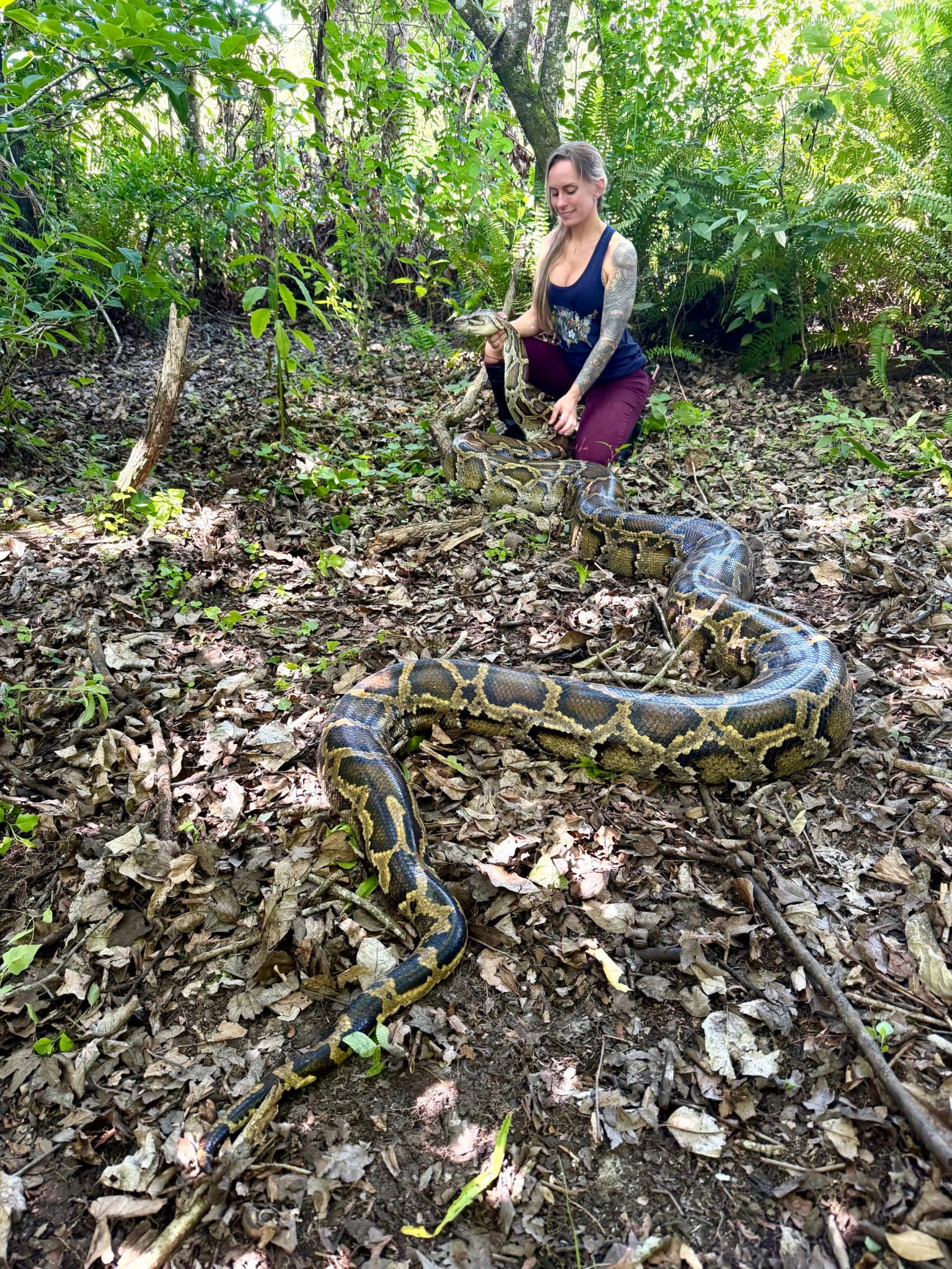 Snake Hunters Head to Florida for the Wildest, Most Viral Competition ...