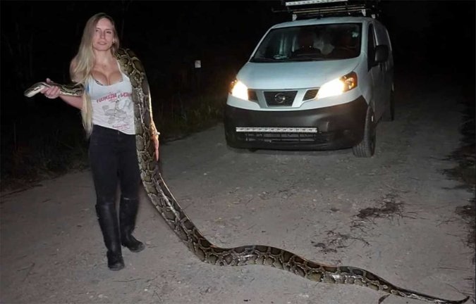 Snake Hunters Head to Florida for the Wildest, Most Viral Competition ...