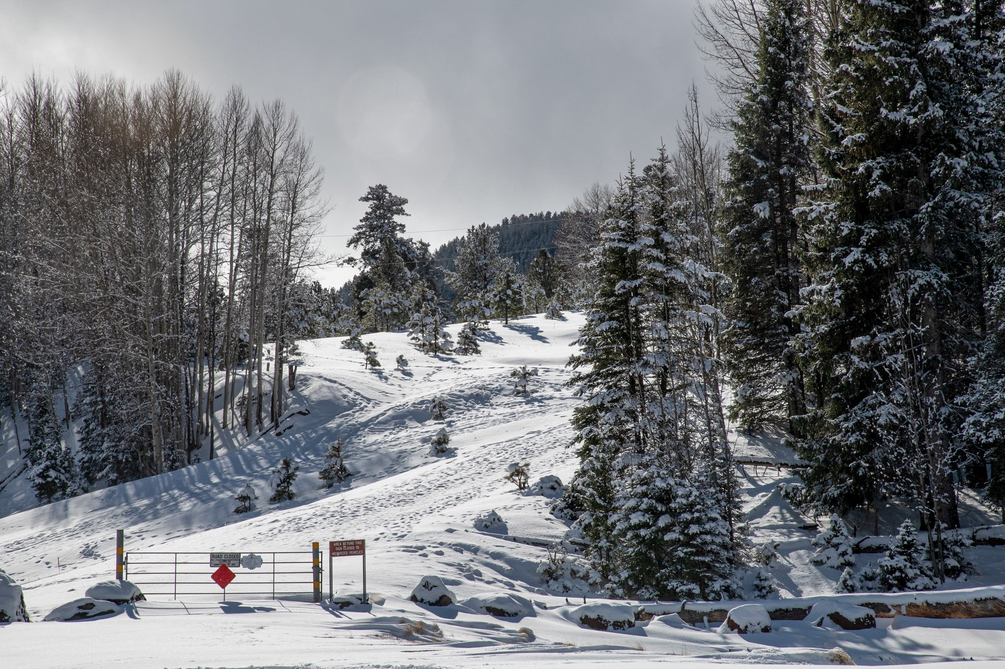 USFS road closure.
