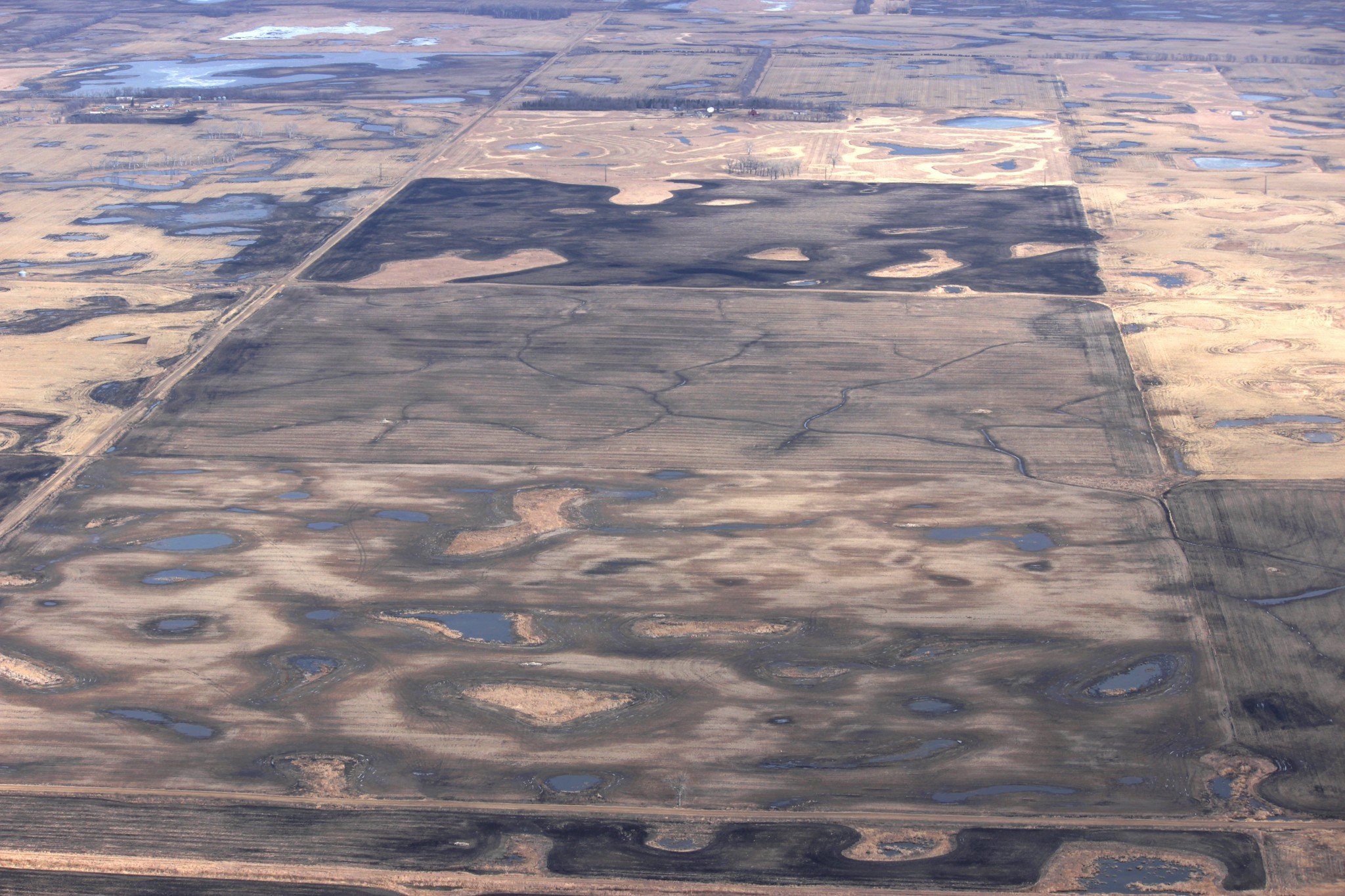 A photo comparing wetland drainage and natural wetlands.