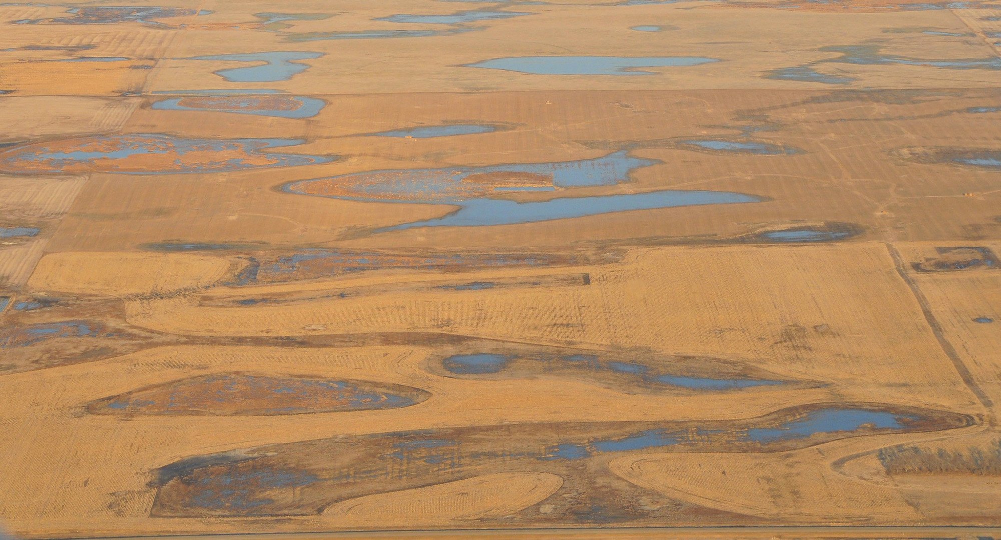 Wetlands in the PPR.