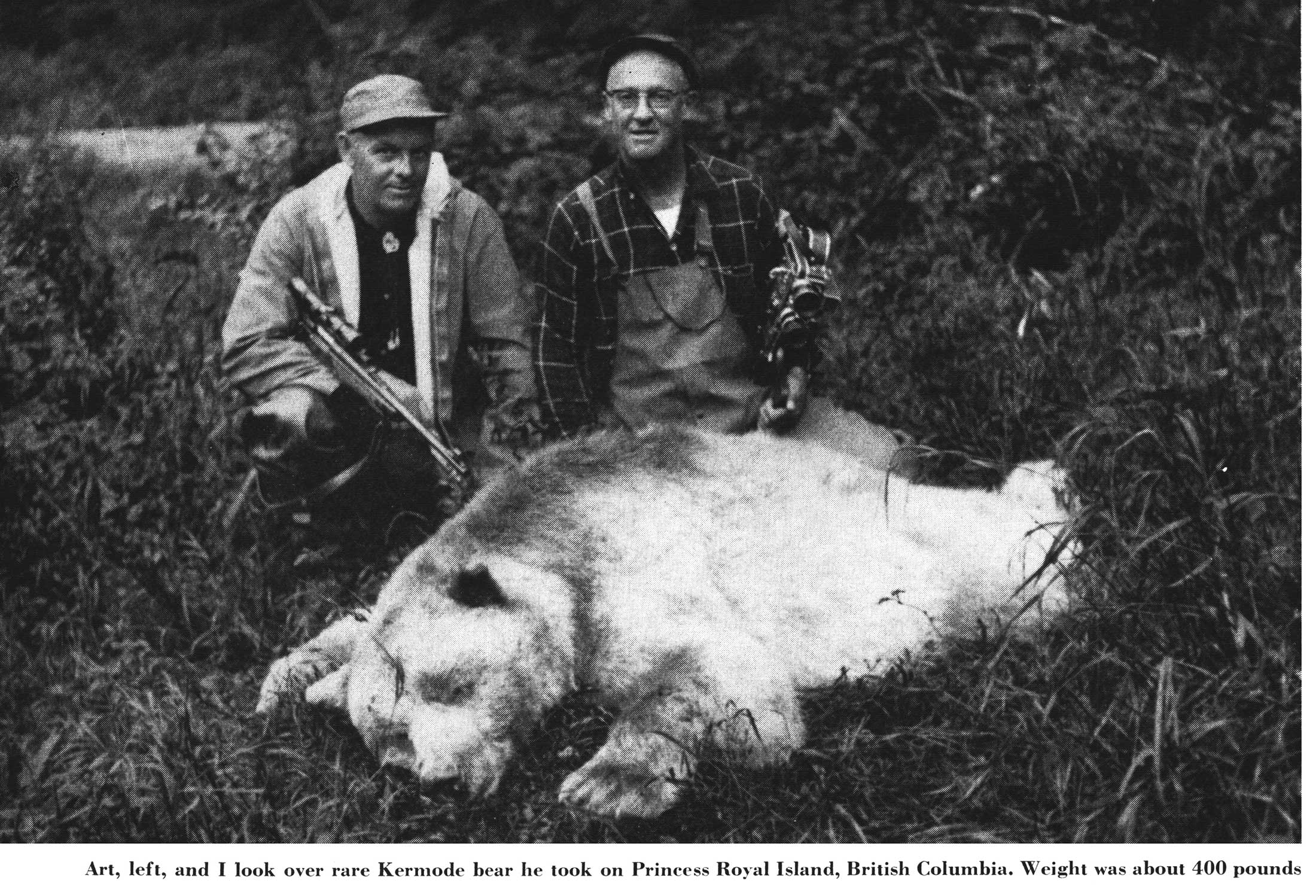 white bear