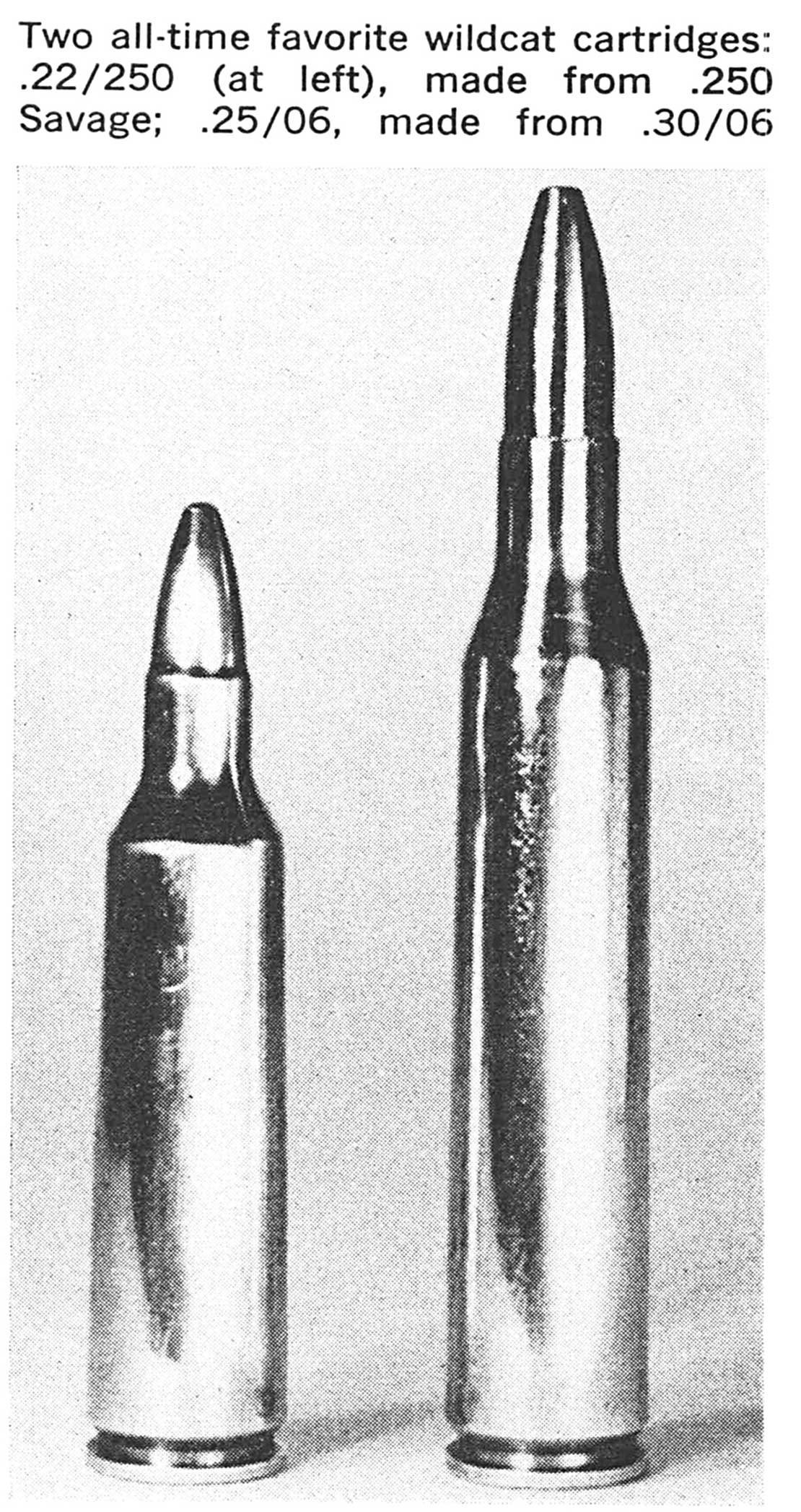 wildcat cartridges