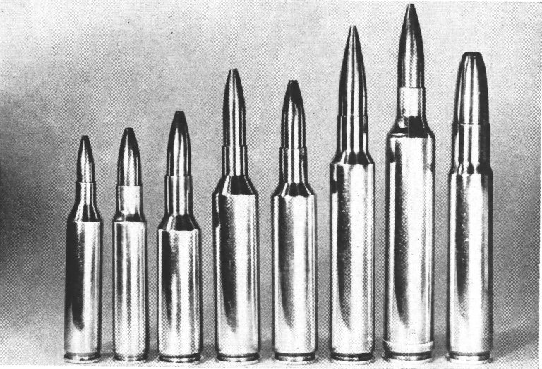 wildcat cartridges