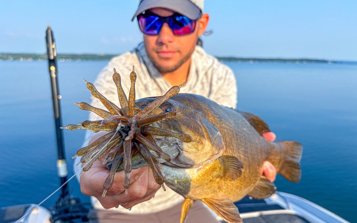 The author holds a smallmouth he caught on a 6th Sense Abstract