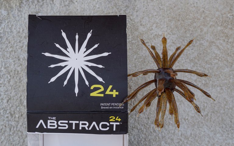The 6th Sense Abstract Urchin Bait