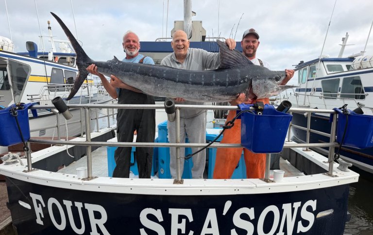 record striped marlin